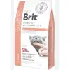 BRIT GF VETERINARY DIETS CAT RENAL YUMURTA BEZELYE 2 KG